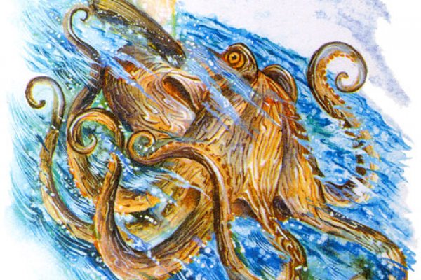 Kraken online