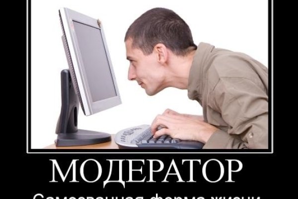 Сайт вместо гидры