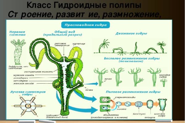 Кракен марке