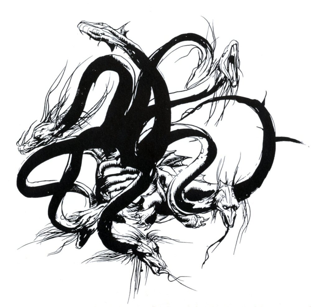 Kraken cc